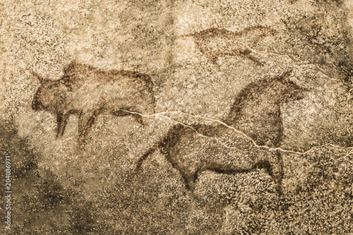 An image of ancient animals on the wall of the cave. archeology. ancient history. drawings of an ancient person