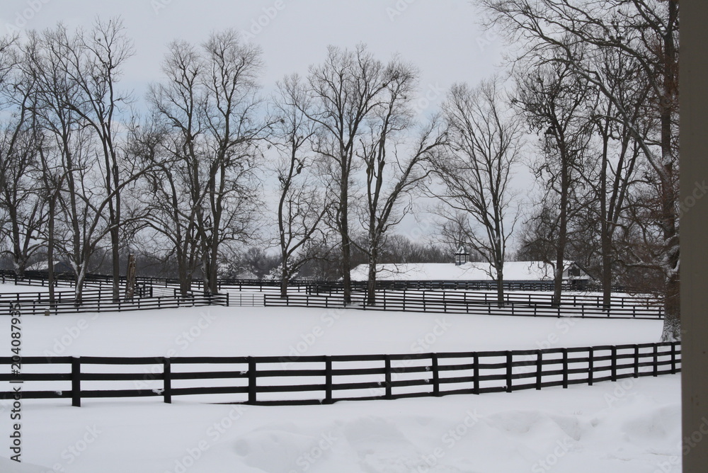 Kentucky Winter Paddock