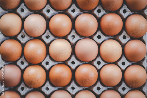 Eggs In Carton Agricultural products