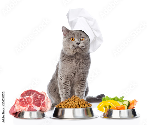 Adult cat in chef's hat with food for pets. isolated on white background photo