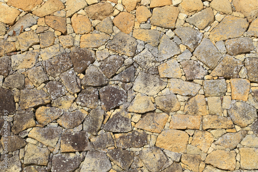 Obraz premium Himeji castle