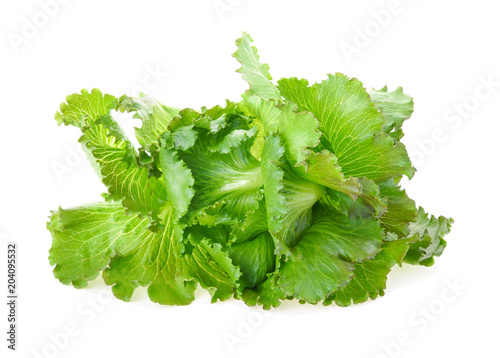 Butter head Lettuce isolated on white background