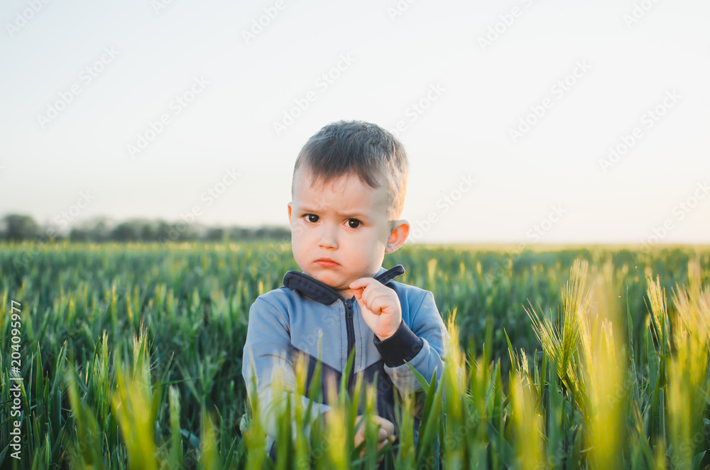 child at sunset in a field of spikelets green, harvest bread child at sunset in a field of spikelets green, harvest bread