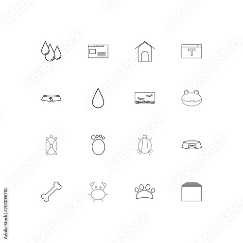 Animals linear thin icons set. Outlined simple vector icons