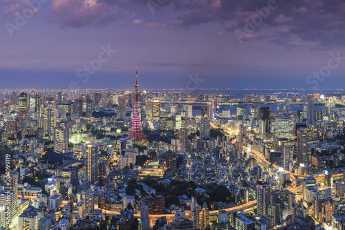 Wallpaper Mural Aerial view of illuminated cityscape and Tokyo Tower at night Torontodigital.ca