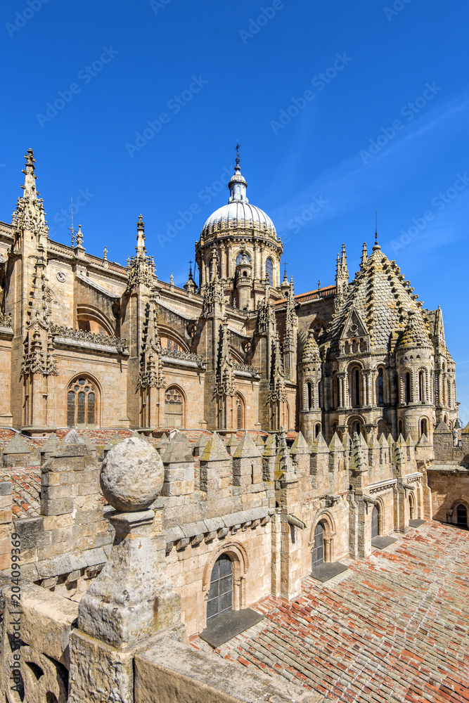 Old Cathedral, Salamanca, Castile and Leon, Spain Old Cathedral, Salamanca, Castile and Leon, Spain