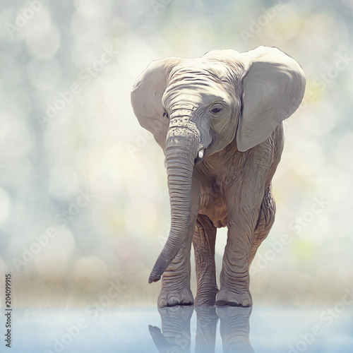 Young elephant painting