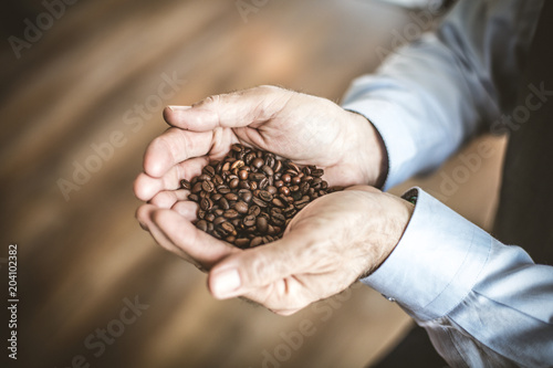 Whole grain of coffee. Senior hand. Close up image.