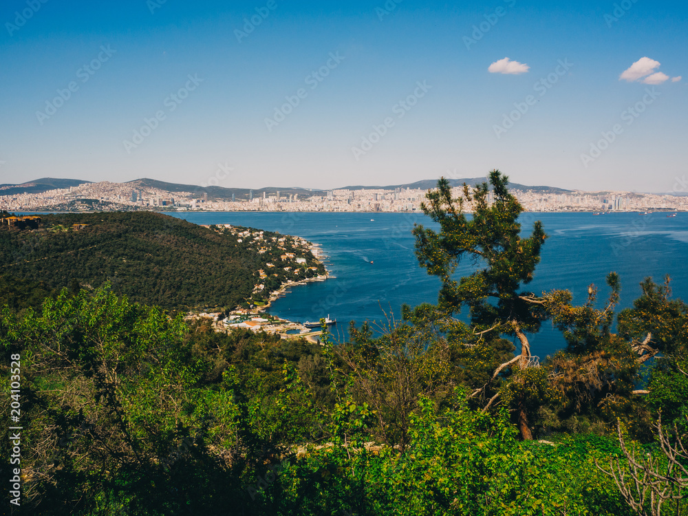 sea view from a height