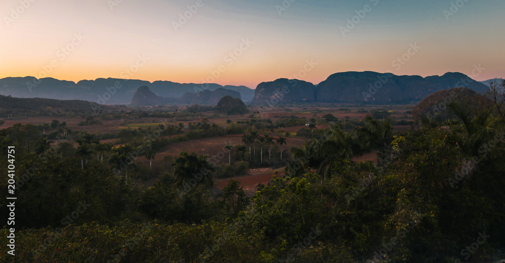 Fototapeta premium Jugando baraja en el atardecer