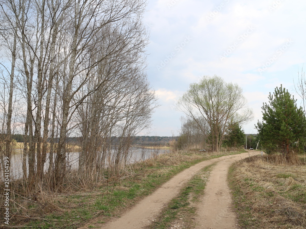 country road along the river in the spring