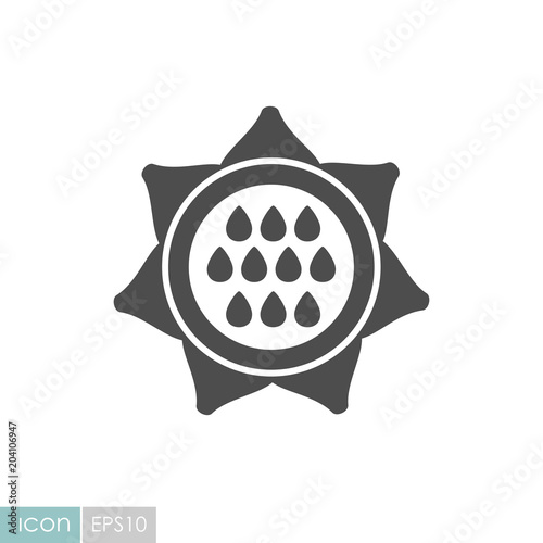 Sunflower outline icon. Vegetable vector