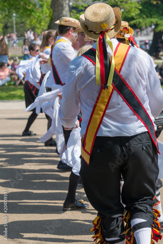 line of Morris Dancers wearing bells and white shirts and stockings dance on May Day Bank Holiday with sticks and handkerchiefs
