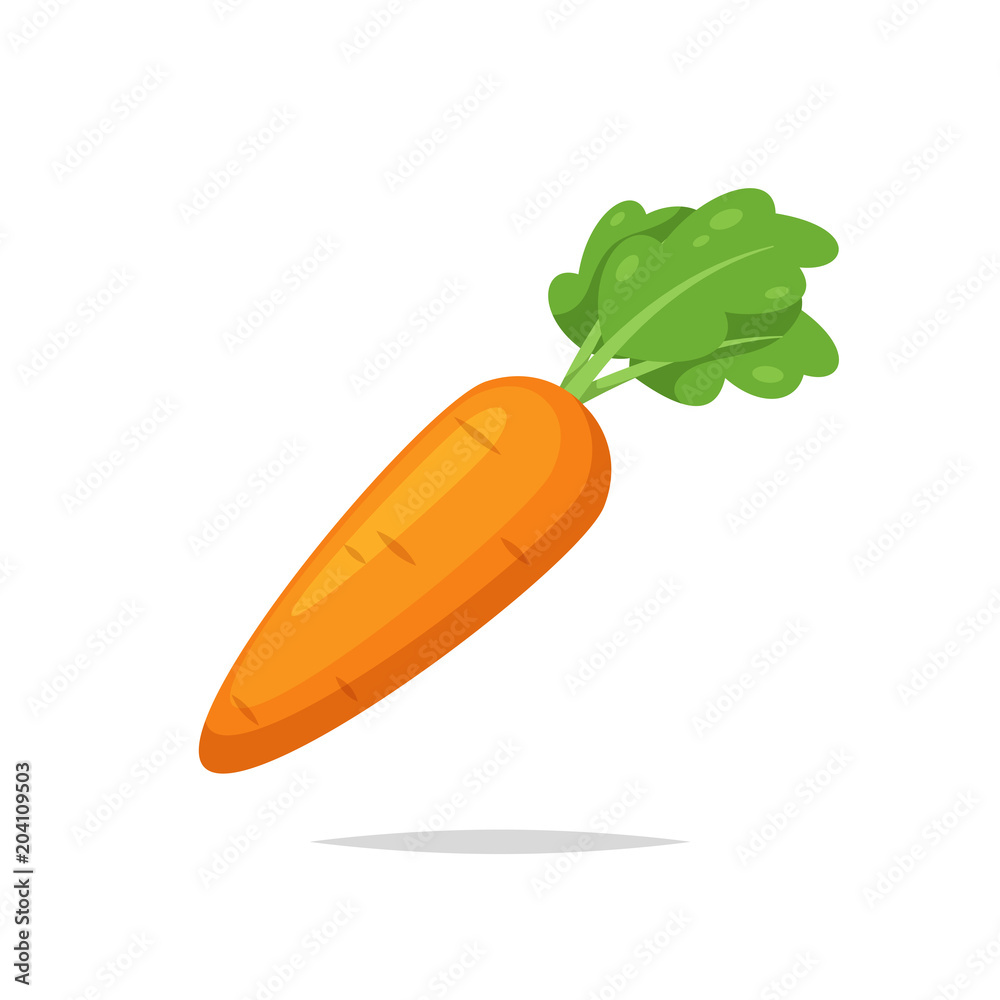 Carrot vector isolated - obrazy, fototapety, plakaty 