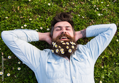 Hipster on relaxed face lays on grass, top view. Appeasement concept. Man with beard and mustache enjoys spring, green meadow background. Guy looks nicely with daisy or chamomile flowers in beard.