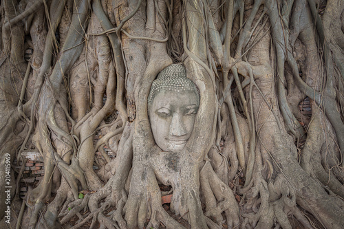 Buddha Head in Tree Roots, Wat Mahathat, Ayutthaya, Thailand © Fominayaphoto