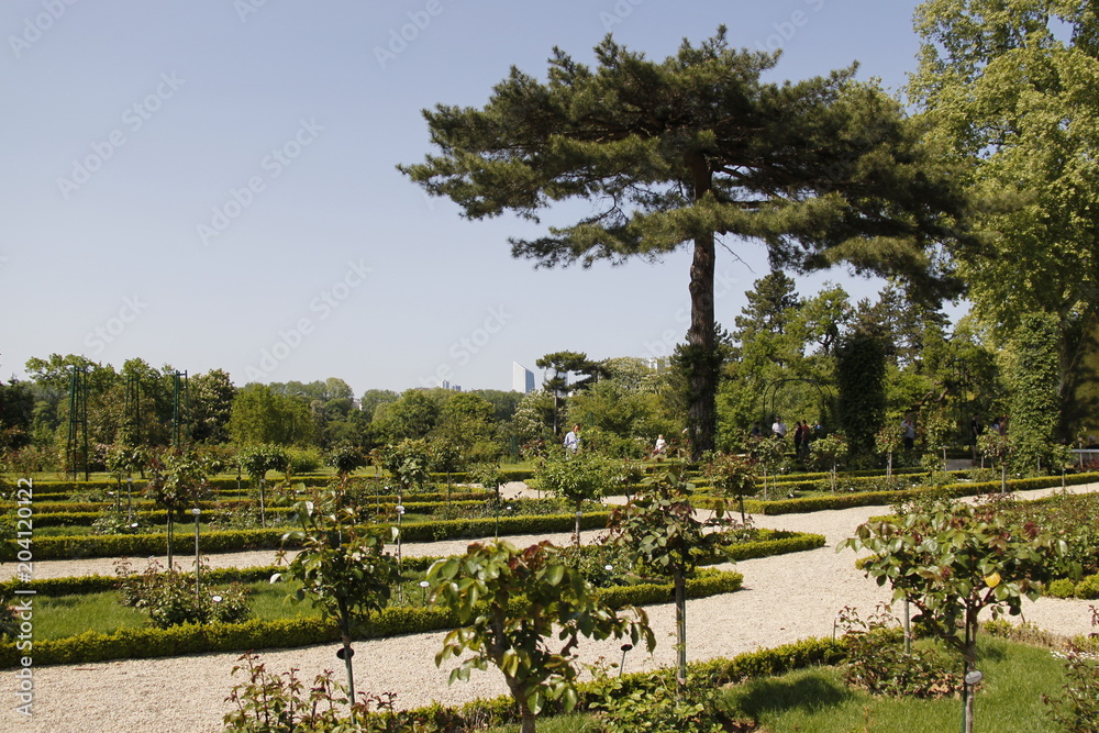 Roseraie du parc de Bagatelle à Paris