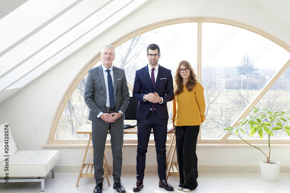Fototapeta premium Business management portrait
