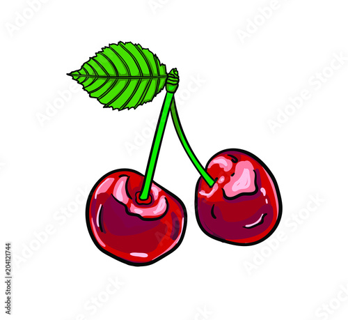 Illustration isolated symbol of fresh farm grown cherries bunch with green leaf berry for juice or jam dessert or farmer market.Cherry  painted icon.Botanical design.