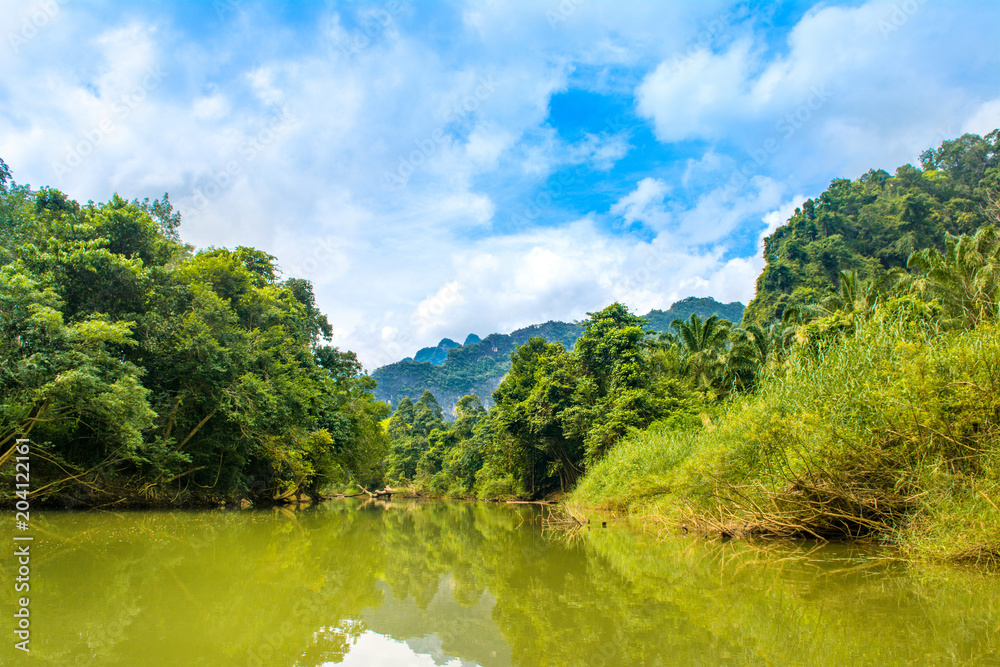 Tropical landscape of a jungle in Thailand