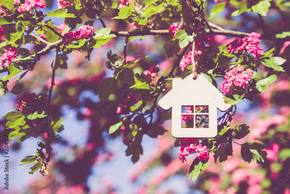The symbol of the house among the blooming Crataegus Pauls Scarlet The symbol of the house among the blooming Crataegus Pauls Scarlet