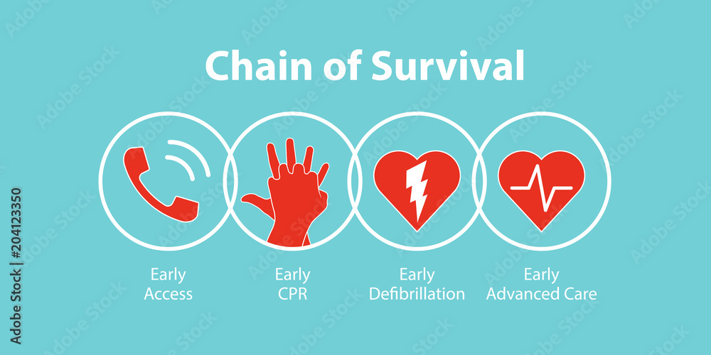 Obraz premium The survival chain