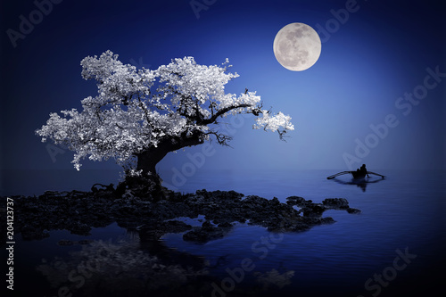 Mystical tree under the moonlight photo