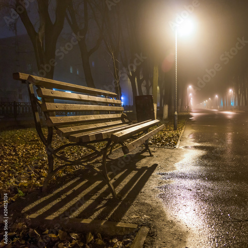 Туман в парке / Fog in the Park