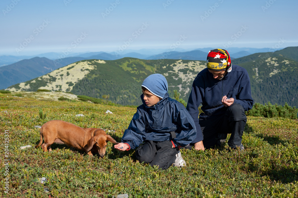Father and son with small funny dog collect and eat blueberries