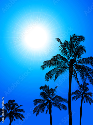 Palm trees silhouette over blue sunny sky