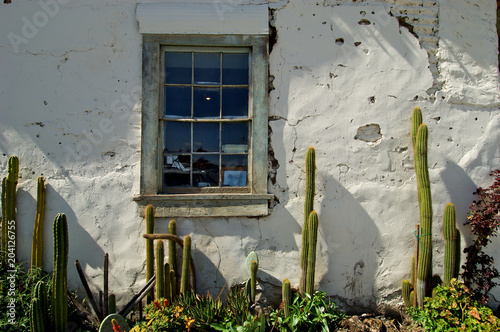 Cuctus Garden and old plastered adobe wall and window, San Juan Bautista, California  photo