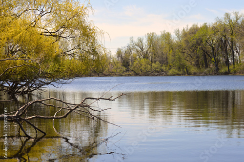 Fototapeta Naklejka Na Ścianę i Meble -  The lake shoreline during the spring
