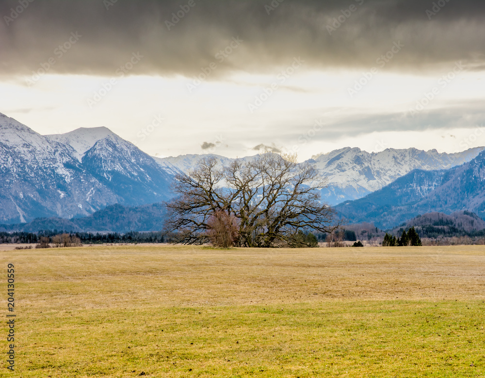 Fototapeta premium Murnauer Moos bog in Bavaria