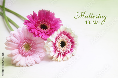 three gerbera flowers in pink and white on a bright background with copy space  greeting card with german text Muttertag 13. Mai  meaning Mother s Day May 13