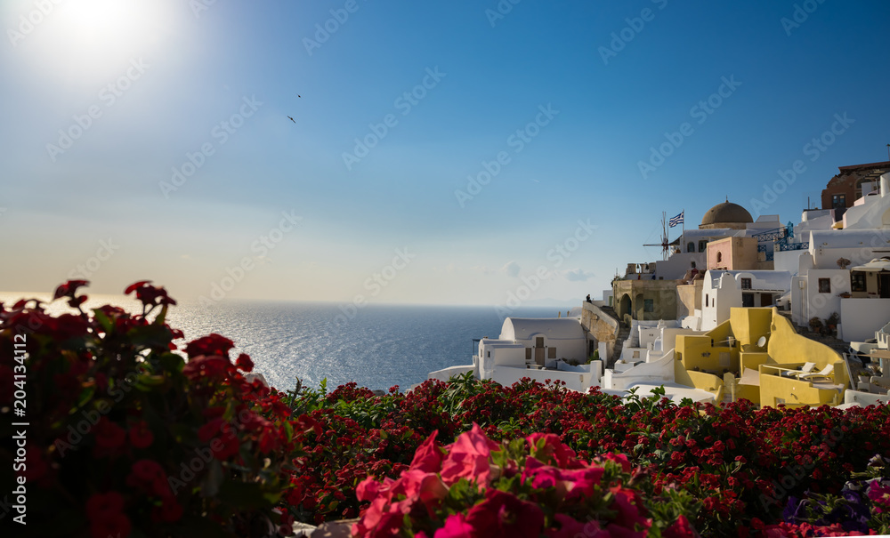 Oia town on Santorini island, Greece. Traditional and famous houses over the Caldera, Aegean sea with blurry red flowers on the foreground