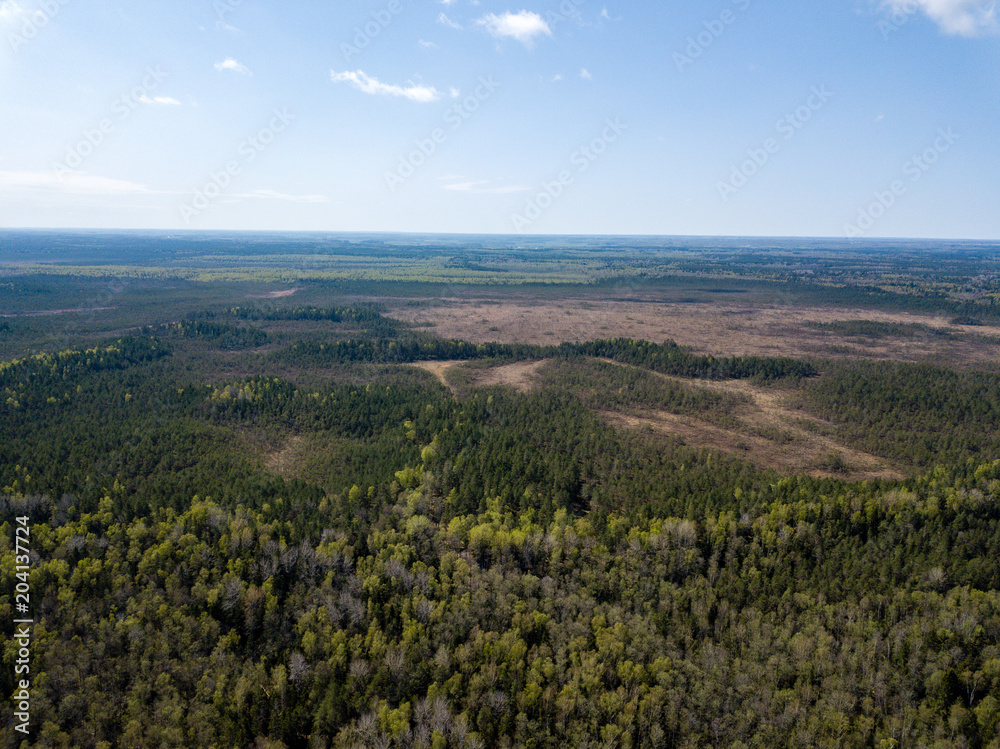 drone image. aerial view of rural area with fields and forests and swamp lake with blue water