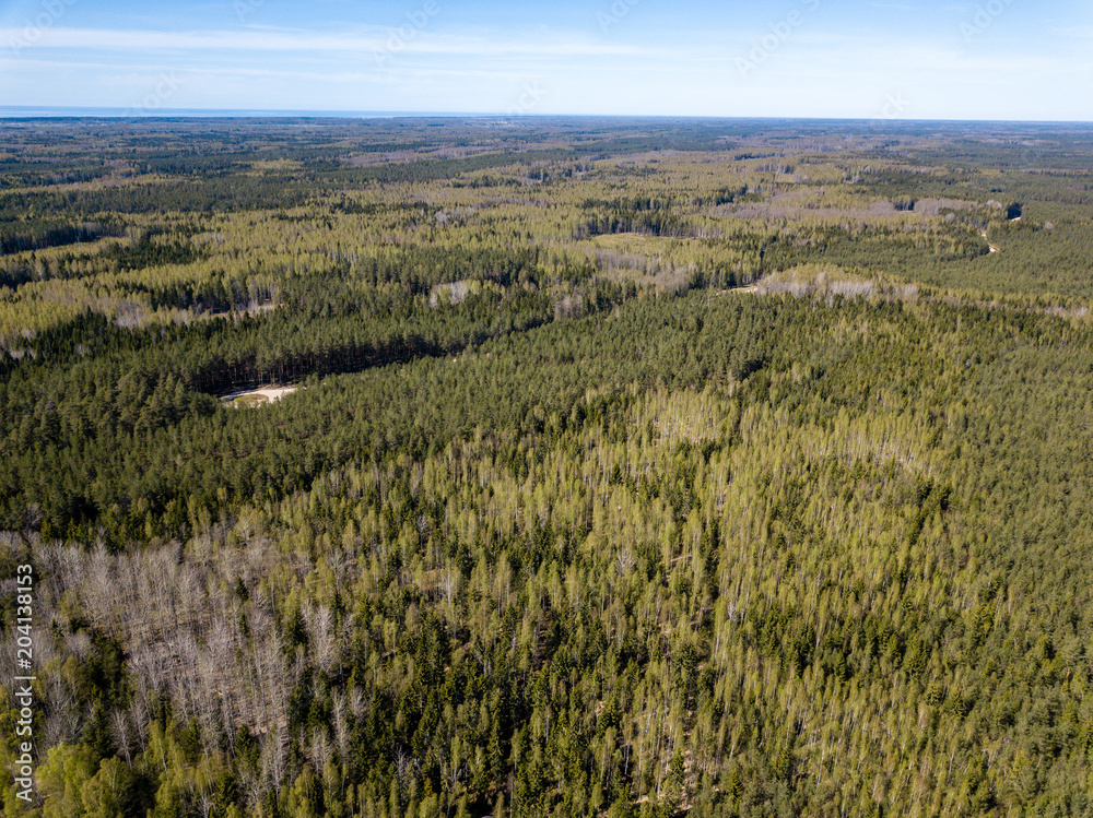 Fototapeta premium drone image. aerial view of rural area with fields and forests