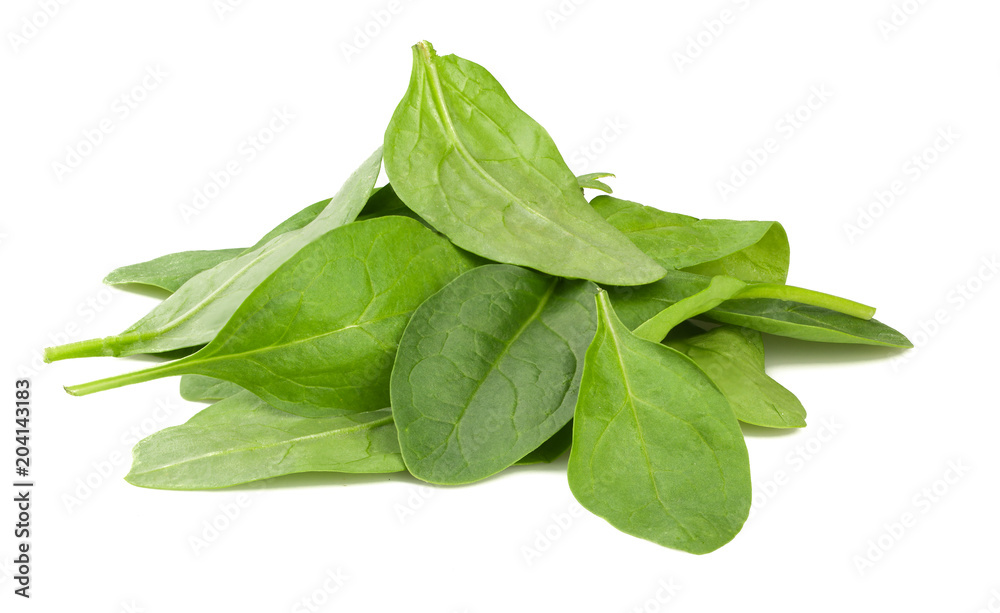 Fresh spinach leaves on white background Fresh spinach leaves on white background