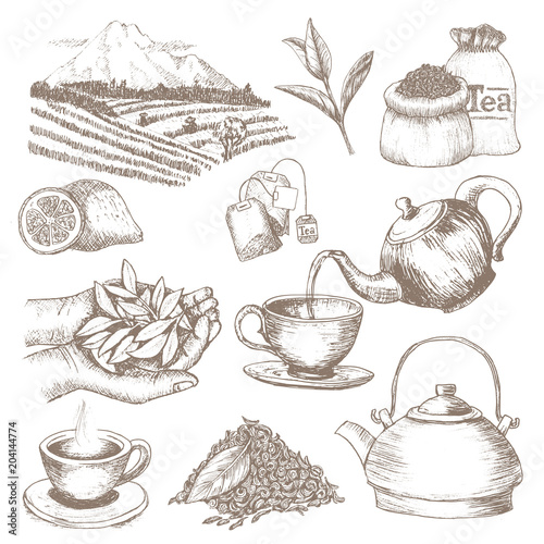 Tea vector drink herbal beverage with dry leaves in tea-cup on teatime illustration set of teapot and cup in tea-caddy isolated on white background