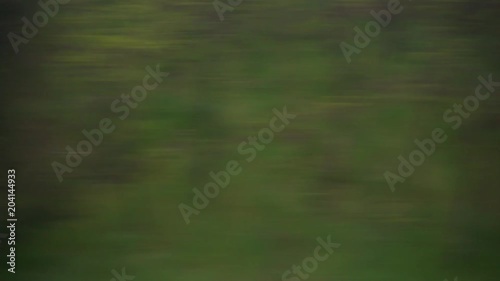 Window View from Train, Car or Bus