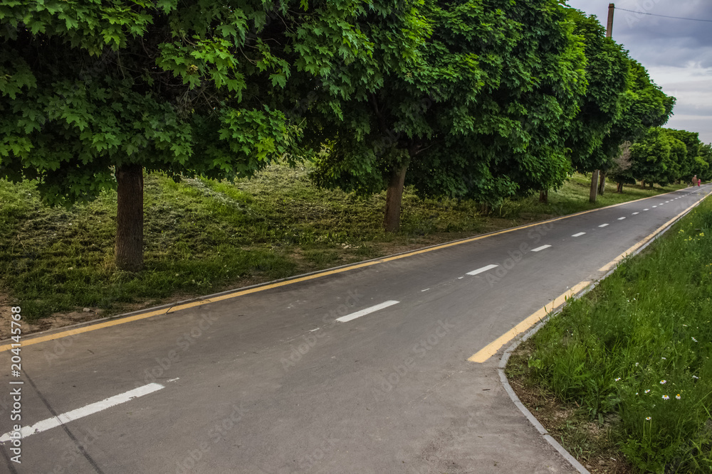 bicycle road in city park street 