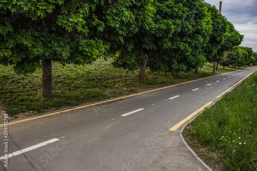 bicycle road in city park street 