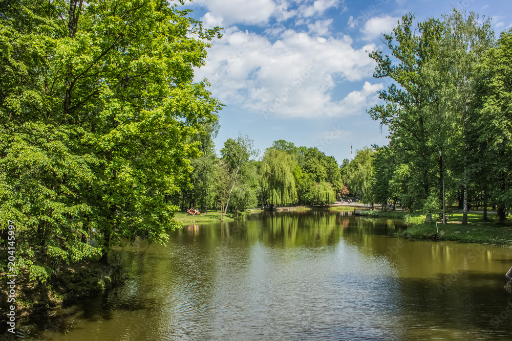 Fototapeta premium city green park space in summer time near lake
