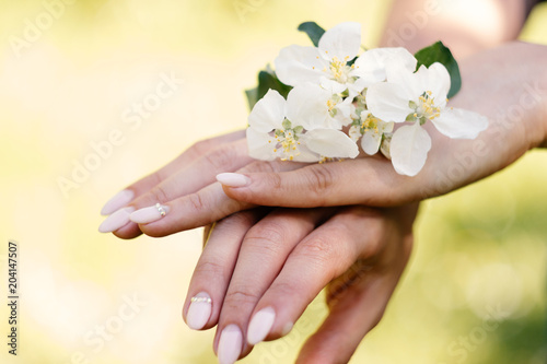 White cherry and apple blossoms in woman hand. Soft blurry background