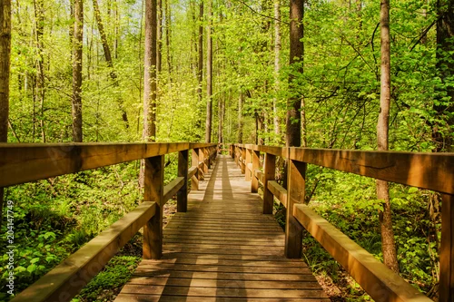 Obraz Drewno Most w lesie