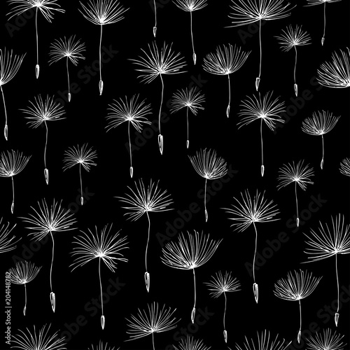 Seamless background of the dandelions seeds