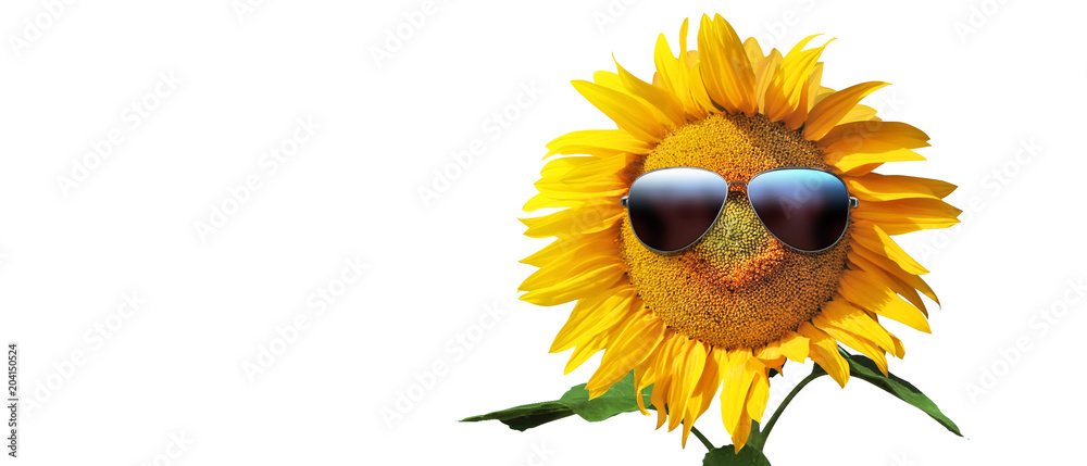 Obraz premium Sonnenblume mit Sonnenbrille auf weissem Hintergrund
