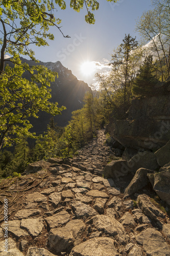 Fototapeta Naklejka Na Ścianę i Meble -  Mountain trail at sunset, Tatras mountains, Slovakia
