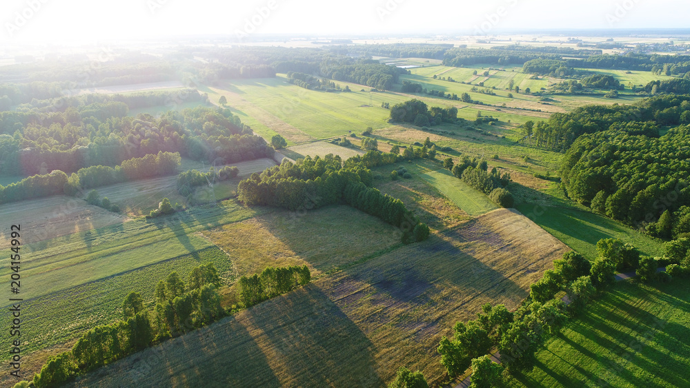 aerial shot from the drone - spring fields and forest