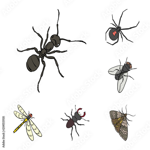 Different kinds of insects cartoon icons in set collection for design. Insect arthropod vector isometric symbol stock web illustration.